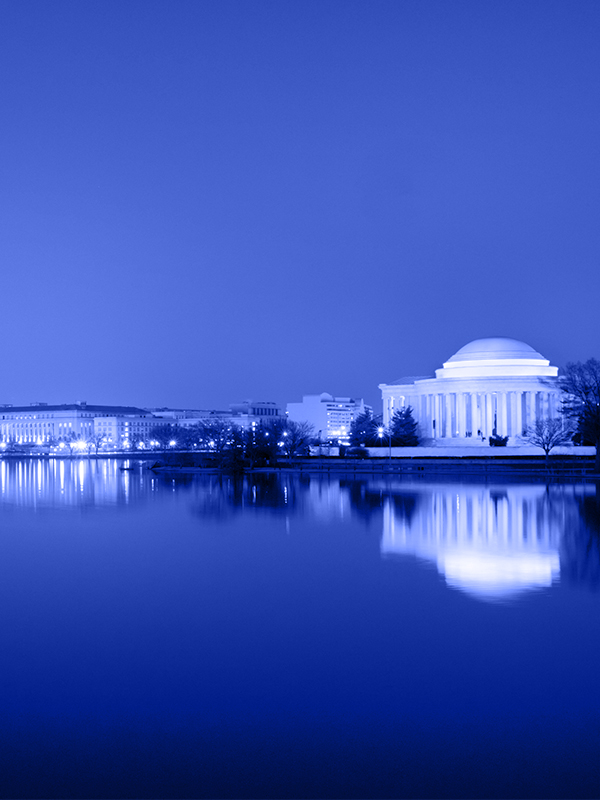 Photograph of the Thomas Jefferson Monument landscape, adorned with a blue filter.