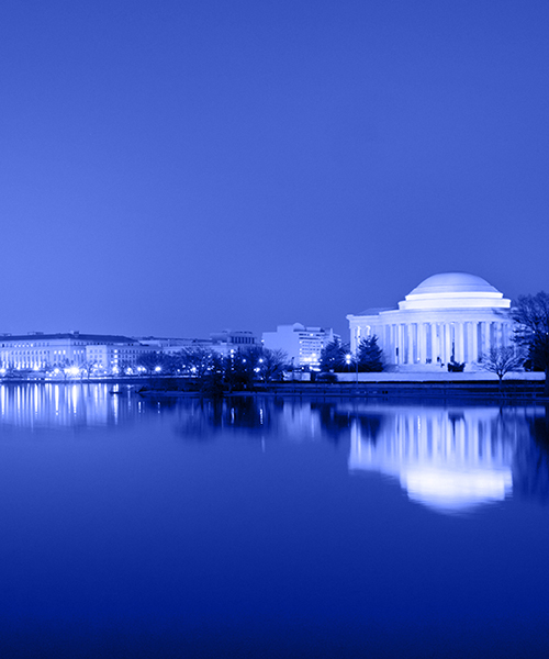Photograph of the Thomas Jefferson Monument landscape, adorned with a blue filter.